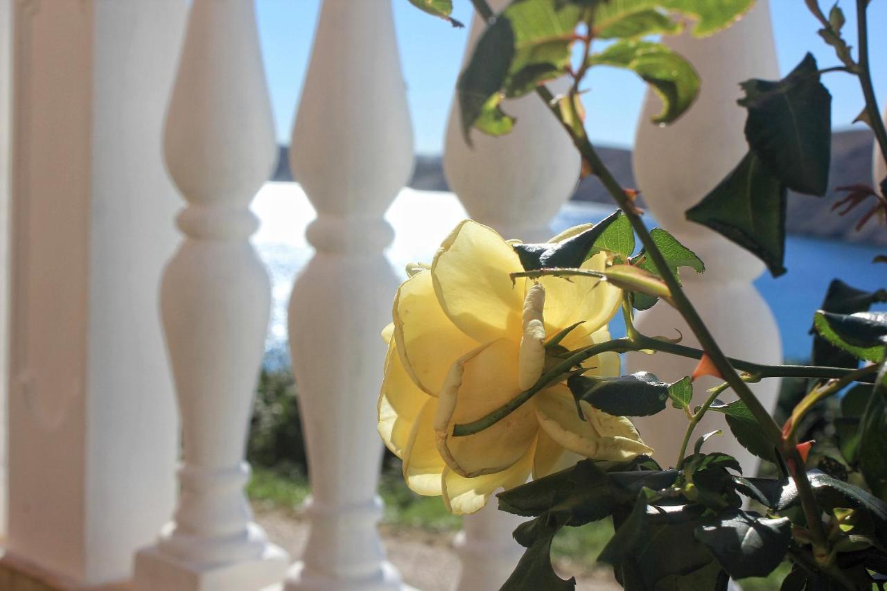 Apartments By The Sea Vlasici, Pag - 9324 מראה חיצוני תמונה